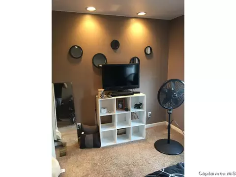 420 W Chenery Street St, Springfield, IL 62704 photo 16