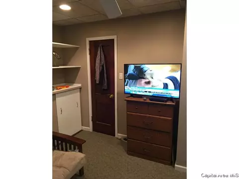 420 W Chenery Street St, Springfield, IL 62704 photo 23