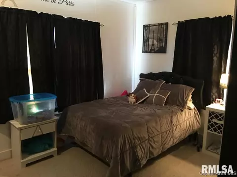 420 W Chenery Street St, Springfield, IL 62704 photo 20