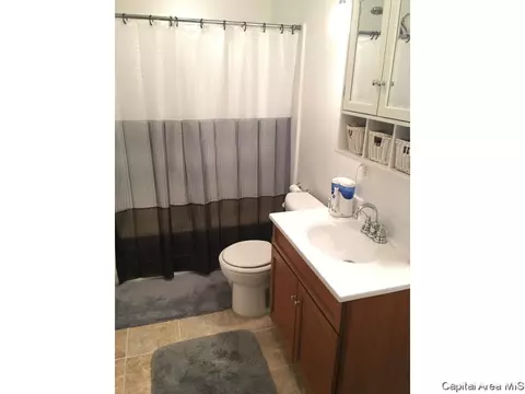 420 W Chenery Street St, Springfield, IL 62704 photo 18