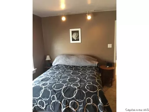 420 W Chenery Street St, Springfield, IL 62704 photo 13