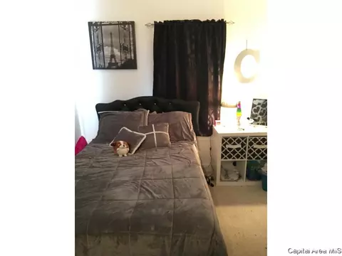 420 W Chenery Street St, Springfield, IL 62704 photo 21