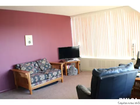 718 S 7th St #907, Springfield, IL 62703 photo 7