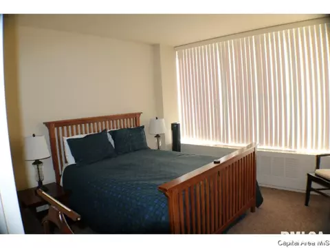718 S 7th St #907, Springfield, IL 62703 photo 12