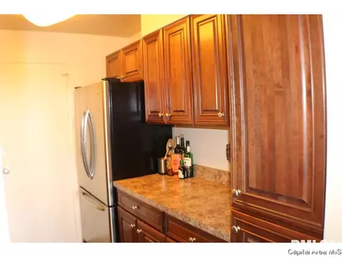 718 S 7th St #907, Springfield, IL 62703 photo 9