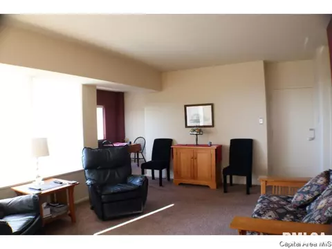 718 S 7th St #907, Springfield, IL 62703 photo 3