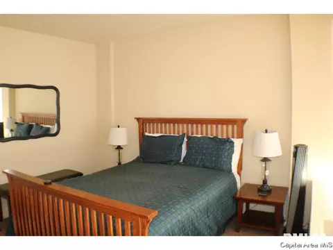 718 S 7th St #907, Springfield, IL 62703 photo 13