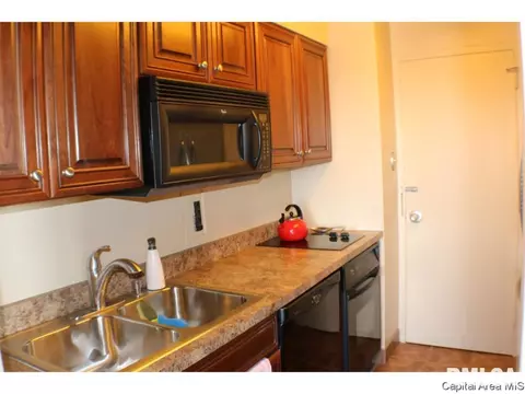 718 S 7th St #907, Springfield, IL 62703 photo 8