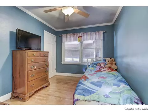 3601 Stanton St, Springfield, IL 62703 photo 17
