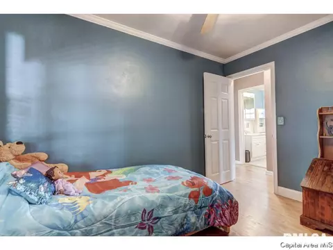 3601 Stanton St, Springfield, IL 62703 photo 18