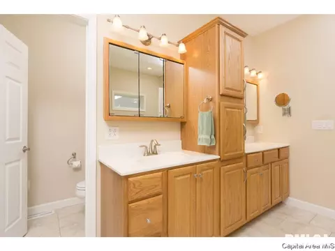 6608 Phlox Dr, Springfield, IL 62712 photo 27