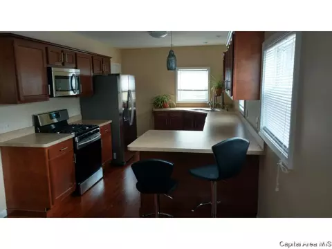 116 N Amos Ave, Springfield, IL 62702 photo 6