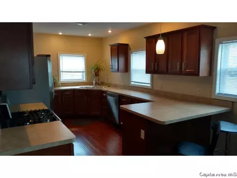 116 N Amos Ave, Springfield, IL 62702 photo 5