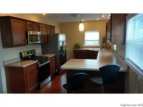 116 N Amos Ave, Springfield, IL 62702 photo 4