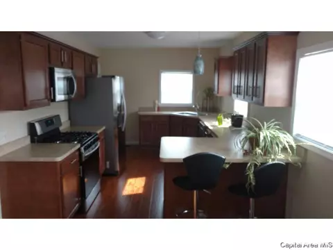 116 N Amos Ave, Springfield, IL 62702 photo 3