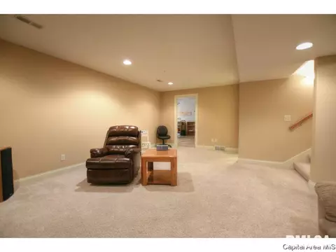 2701 Richardson Dr, Springfield, IL 62711 photo 26