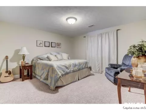 2805 Covered Wagon, Springfield, IL 62711 photo 31