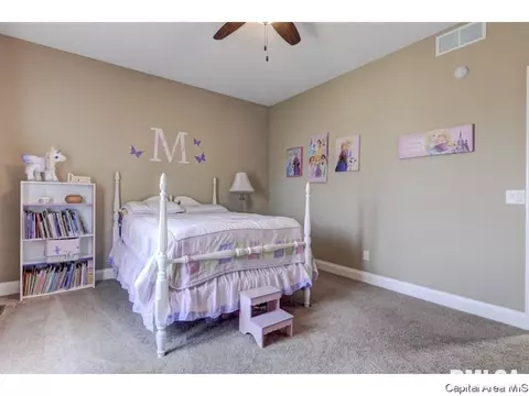2805 Covered Wagon, Springfield, IL 62711 photo 20