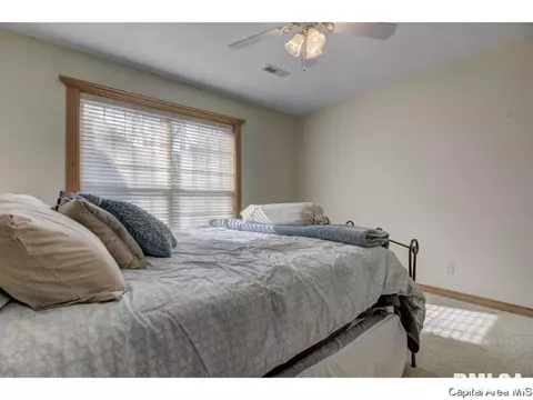 216 Timberridge Dr, Springfield, IL 62702 photo 28