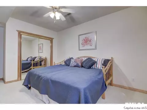 216 Timberridge Dr, Springfield, IL 62702 photo 27