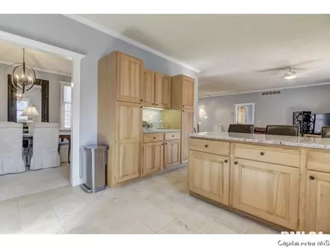 216 Timberridge Dr, Springfield, IL 62702 photo 16
