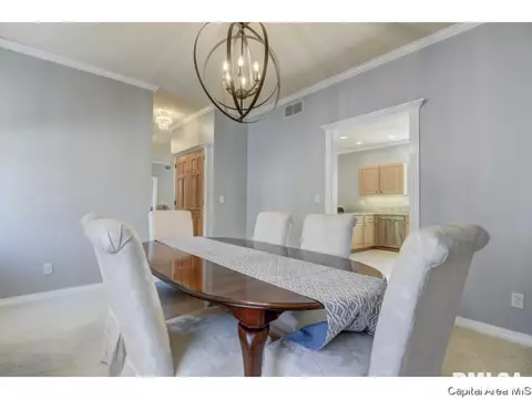 216 Timberridge Dr, Springfield, IL 62702 photo 19