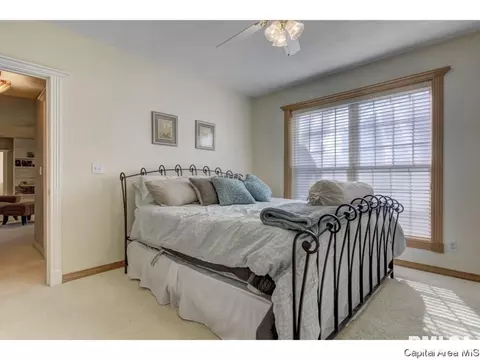 216 Timberridge Dr, Springfield, IL 62702 photo 29