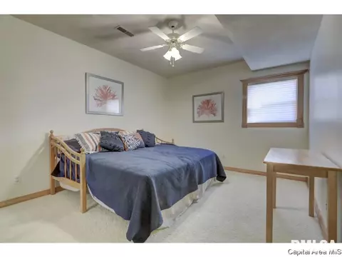216 Timberridge Dr, Springfield, IL 62702 photo 26