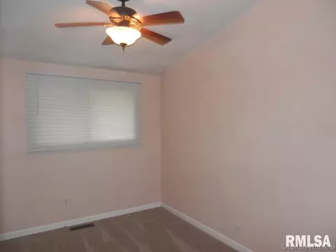 310 N Cedar, Abingdon, IL 61410 photo 21