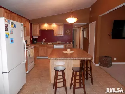 310 N Cedar, Abingdon, IL 61410 photo 14