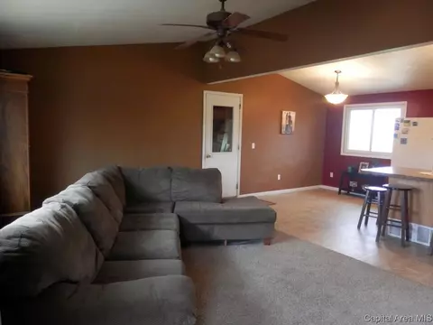 310 N Cedar, Abingdon, IL 61410 photo 5