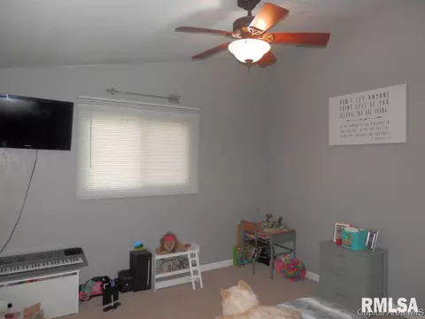 310 N Cedar, Abingdon, IL 61410 photo 20