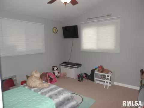 310 N Cedar, Abingdon, IL 61410 photo 19