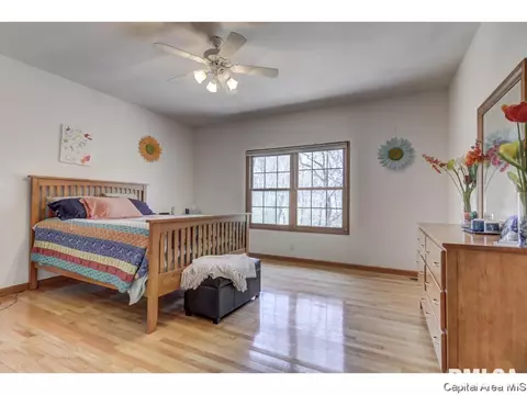 2320 Harbor Lndg, Springfield, IL 62712 photo 20