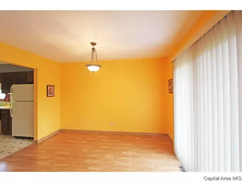 258 Stutely Ln, Springfield, IL 62704 photo 5