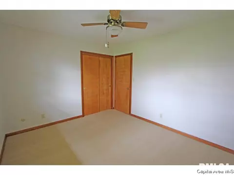 258 Stutely Ln, Springfield, IL 62704 photo 17