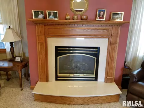 3909 Oakview Dr, Springfield, IL 62712 photo 14