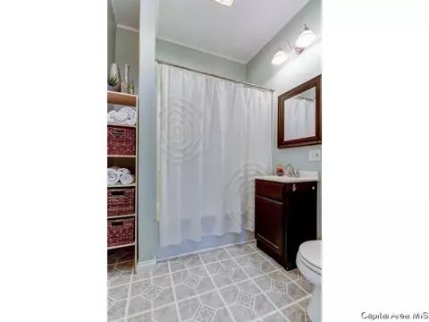 2005 S Spring St, Springfield, IL 62704 photo 31