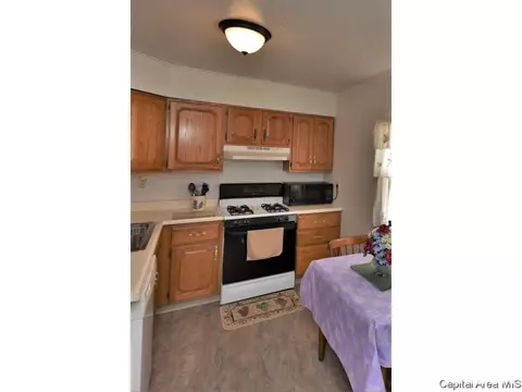 2436 E Wilshire Rd, Springfield, IL 62703 photo 9