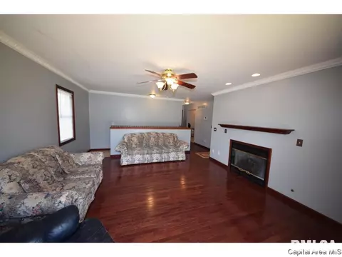 901 Knoll Pointe Pl, Springfield, IL 62703 photo 22