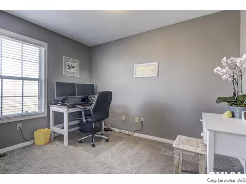 2433 Basil Dr, Springfield, IL 62707 photo 31