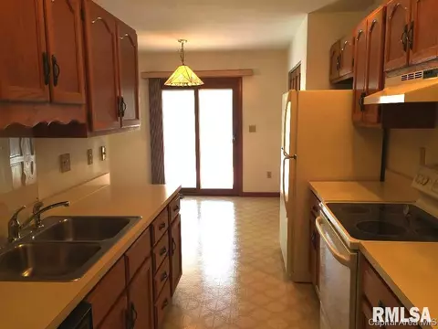 3028 Turning Mill Dr, Springfield, IL 62704 photo 5