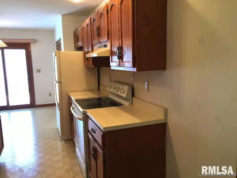 3028 Turning Mill Dr, Springfield, IL 62704 photo 7