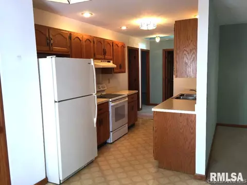 3028 Turning Mill Dr, Springfield, IL 62704 photo 9