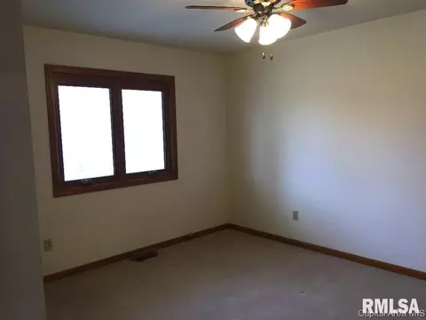 3028 Turning Mill Dr, Springfield, IL 62704 photo 19
