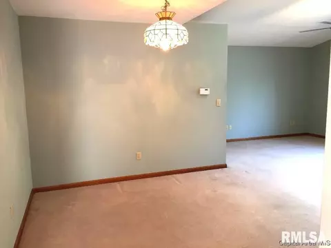 3028 Turning Mill Dr, Springfield, IL 62704 photo 10