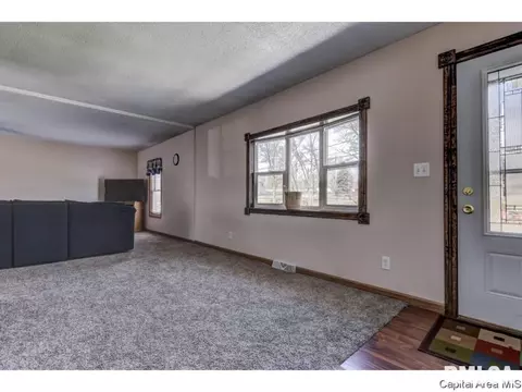512 E Jackson, Riverton, IL 62561 photo 16