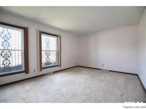 2913 Clifton Dr, Springfield, IL 62704 photo 28
