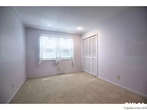 2913 Clifton Dr, Springfield, IL 62704 photo 25