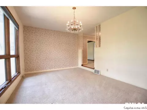 2913 Clifton Dr, Springfield, IL 62704 photo 15